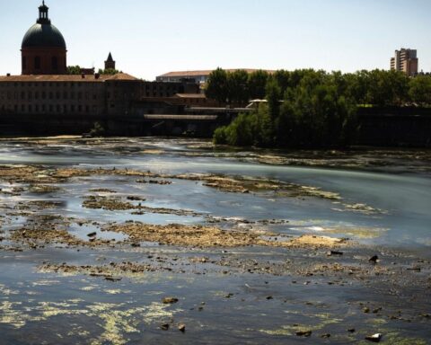 La Garonne en état critique : de nouvelles restrictions d'eau à prévoir en août