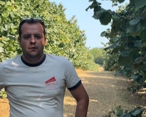 La réintroduction de l'acétamipride suscite un débat intense en Lot-et-Garonne après l'adoption de la loi d'urgence agricole