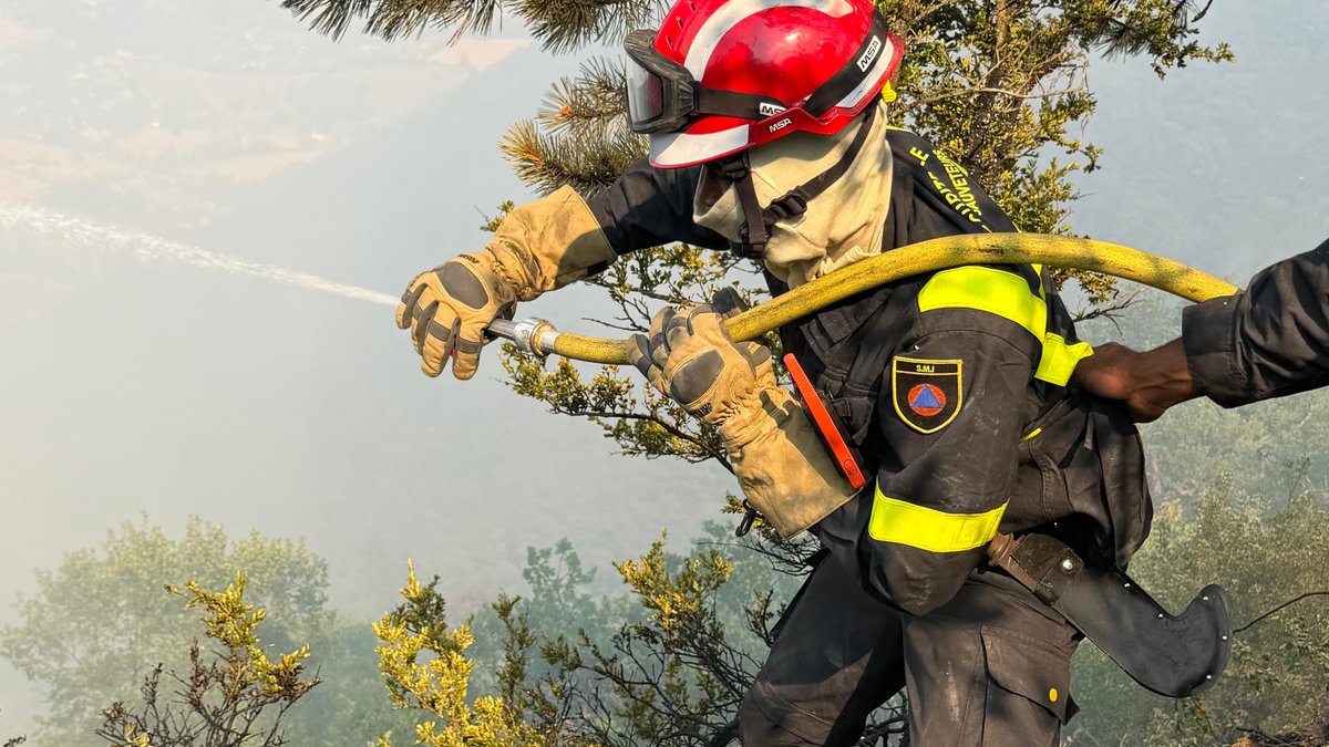 Le 17e RGP mobilisé pour lutter contre les feux de forêt à Fontainebleau