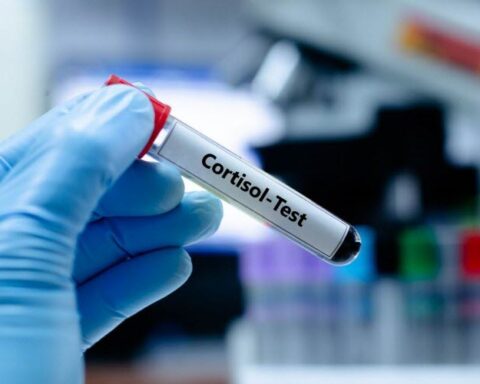Le cortisol : une hormone essentielle mal comprise et victime de désinformation