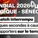 Le match Belgique - Sénégal interrompu brièvement par l'intrusion de spectateurs sur le terrain