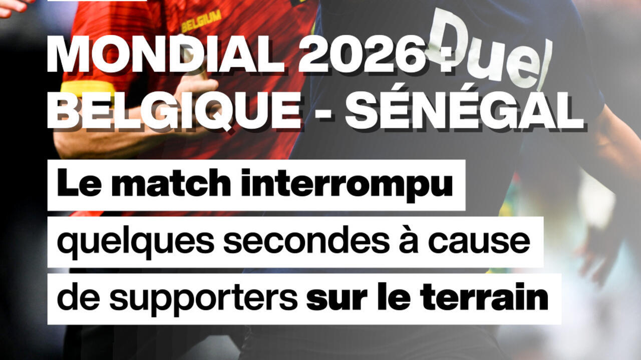 Le match Belgique - Sénégal interrompu brièvement par l'intrusion de spectateurs sur le terrain