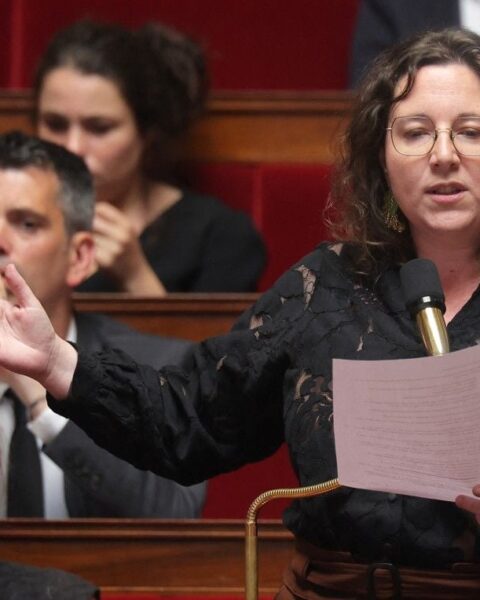 Les écologistes déposent une motion de censure contre le gouvernement Lecornu face à la canicule