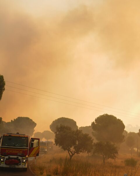 Les incendies de forêt pourraient-ils altérer l'observation de l'éclipse solaire en Espagne ?