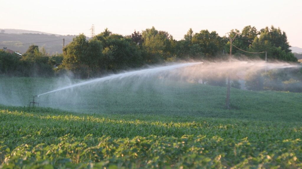 Les Jeunes agriculteurs du Gers dénoncent des restrictions d'irrigation jugées catastrophiques pour les cultures