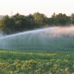 Les Jeunes agriculteurs du Gers dénoncent des restrictions d'irrigation jugées catastrophiques pour les cultures