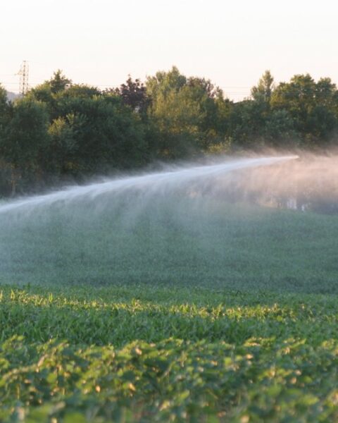 Les Jeunes agriculteurs du Gers dénoncent des restrictions d'irrigation jugées catastrophiques pour les cultures