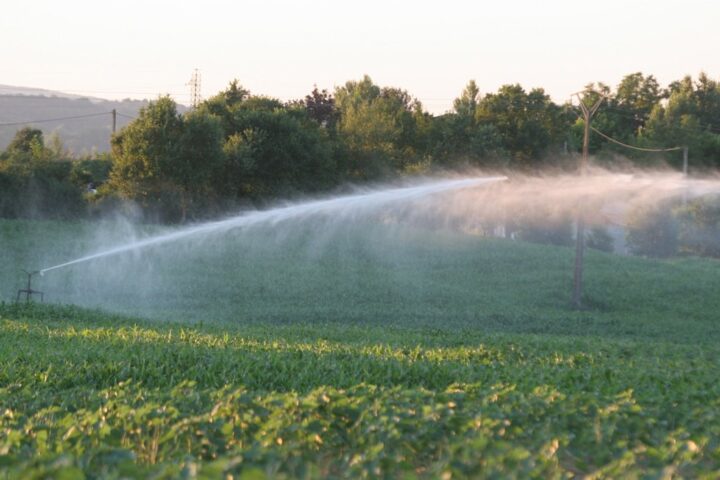 Les Jeunes agriculteurs du Gers dénoncent des restrictions d'irrigation jugées catastrophiques pour les cultures