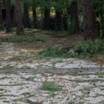 Loire : passage d’une mini-tornade dans le nord de Saint-Etienne après de violents orages
