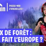 L'Union européenne renforce sa coopération face aux incendies de forêt en 2026