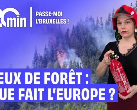 L'Union européenne renforce sa coopération face aux incendies de forêt en 2026