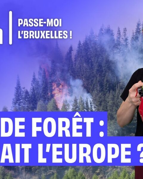 L'Union européenne renforce sa coopération face aux incendies de forêt en 2026