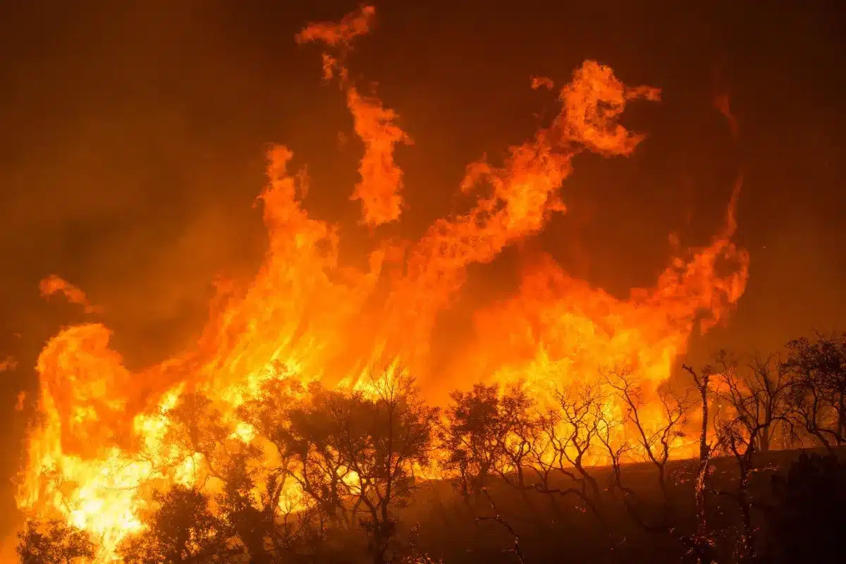 Mauvaise nouvelle pour les vacanciers du Sud-Ouest : votre assurance ne couvre sans doute pas vos attentes en cas d'incendie.
