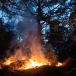 Météo-France place 27 départements en risque élevé de feux de forêt ce lundi