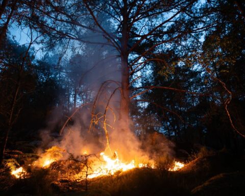 Météo-France place 27 départements en risque élevé de feux de forêt ce lundi