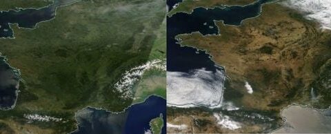 Météo : la sécheresse exceptionnelle de juillet met en péril la végétation et les ressources en eau