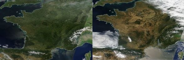 Météo : la sécheresse exceptionnelle de juillet met en péril la végétation et les ressources en eau
