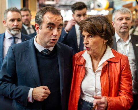 Néonicotinoïdes : le gouvernement face aux critiques sur l'influence de la FNSEA