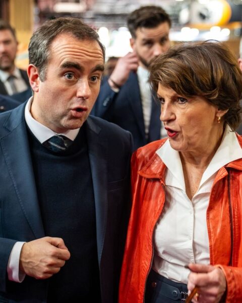 Néonicotinoïdes : le gouvernement face aux critiques sur l'influence de la FNSEA