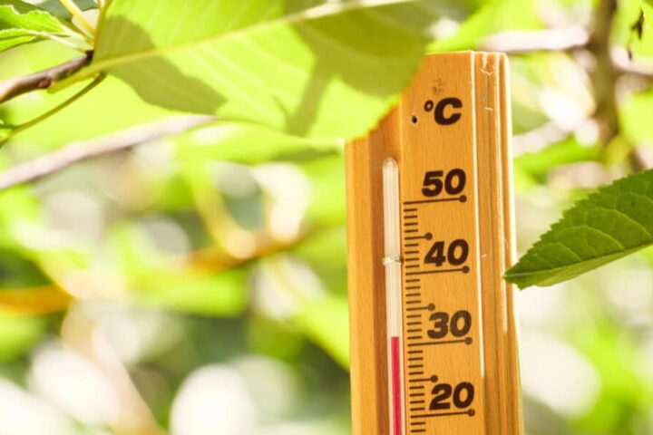 Neuf départements en alerte rouge pour canicule ce vendredi 10 juillet 2026 : les détails sur les zones concernées.