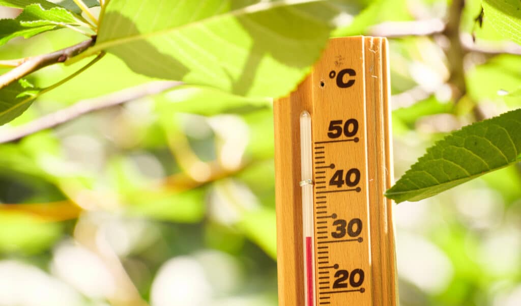 Neuf départements en alerte rouge pour canicule ce vendredi 10 juillet 2026 : les détails sur les zones concernées.