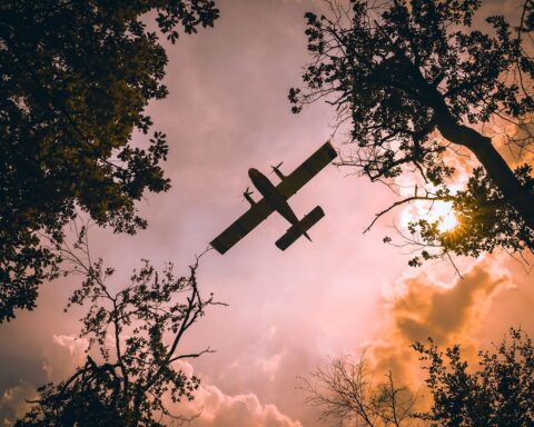 Polémique sur les Canadair : le gouvernement défend la flotte face aux critiques d’opposition