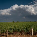 Risque élevé d'orages ce vendredi en France, dix départements en vigilance orange