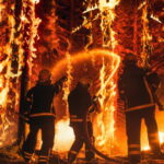 Sapeur-pompier de 18 ans reconnu coupable d'avoir déclenché un incendie en forêt de Fontainebleau