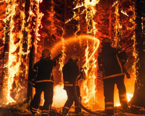 Sapeur-pompier de 18 ans reconnu coupable d'avoir déclenché un incendie en forêt de Fontainebleau