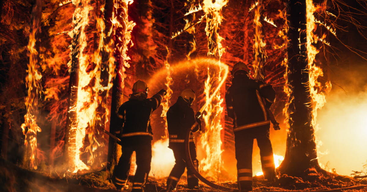Sapeur-pompier de 18 ans reconnu coupable d'avoir déclenché un incendie en forêt de Fontainebleau