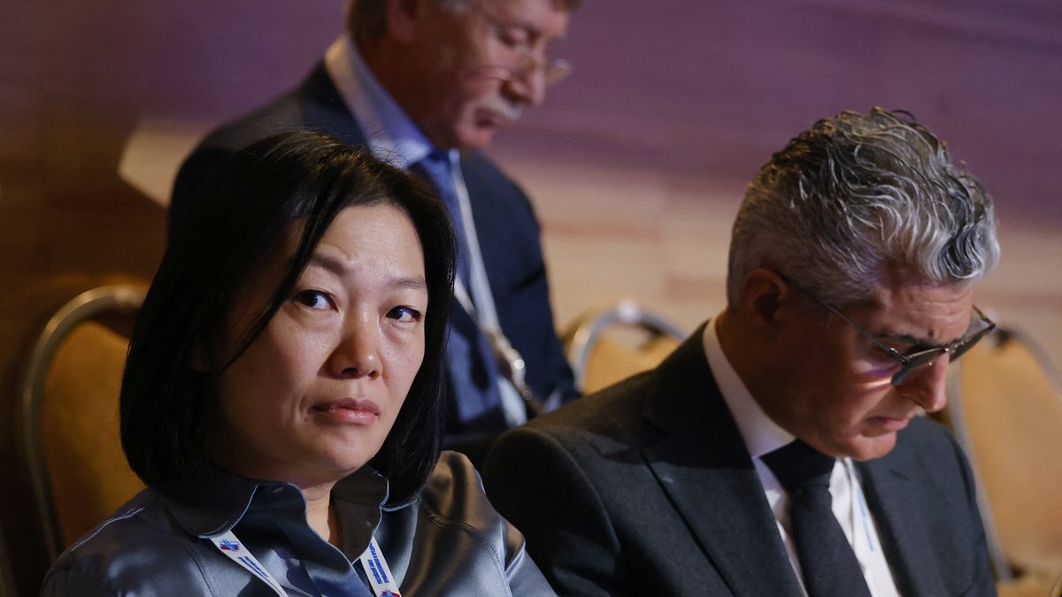 Ukraine intensifie les frappes sur les centres logistiques du géant russe Wildberries, propriété de Tatiana Kim