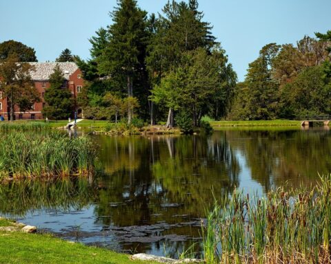 Un acheteur découvre trois cadavres dans une maison achetée aux enchères dans le Connecticut