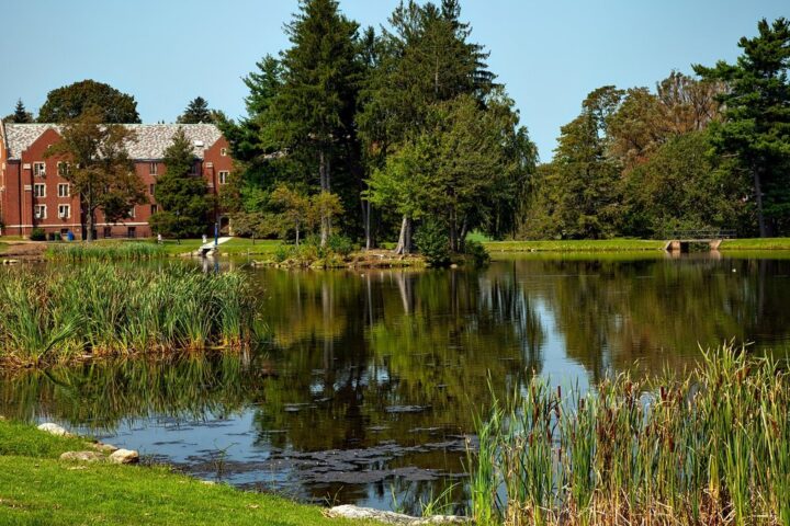 Un acheteur découvre trois cadavres dans une maison achetée aux enchères dans le Connecticut