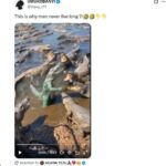Un homme se déguise en crocodile, une vidéo manipulée fait le buzz sur les réseaux sociaux