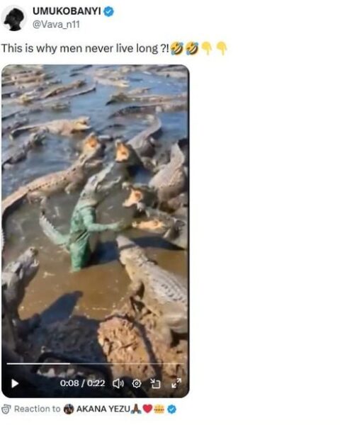 Un homme se déguise en crocodile, une vidéo manipulée fait le buzz sur les réseaux sociaux