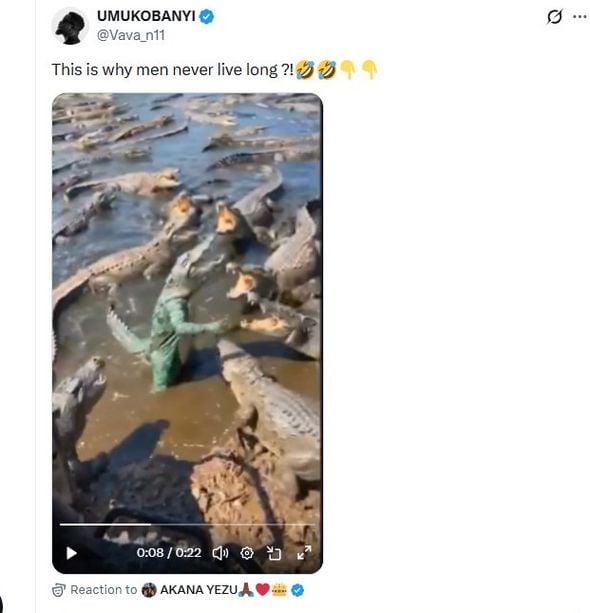 Un homme se déguise en crocodile, une vidéo manipulée fait le buzz sur les réseaux sociaux