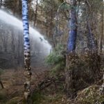Un incendie ravageur dans le Var nécessite l’évacuation de plusieurs dizaines d’habitations