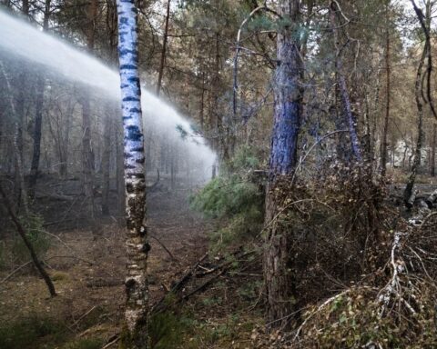 Un incendie ravageur dans le Var nécessite l’évacuation de plusieurs dizaines d’habitations