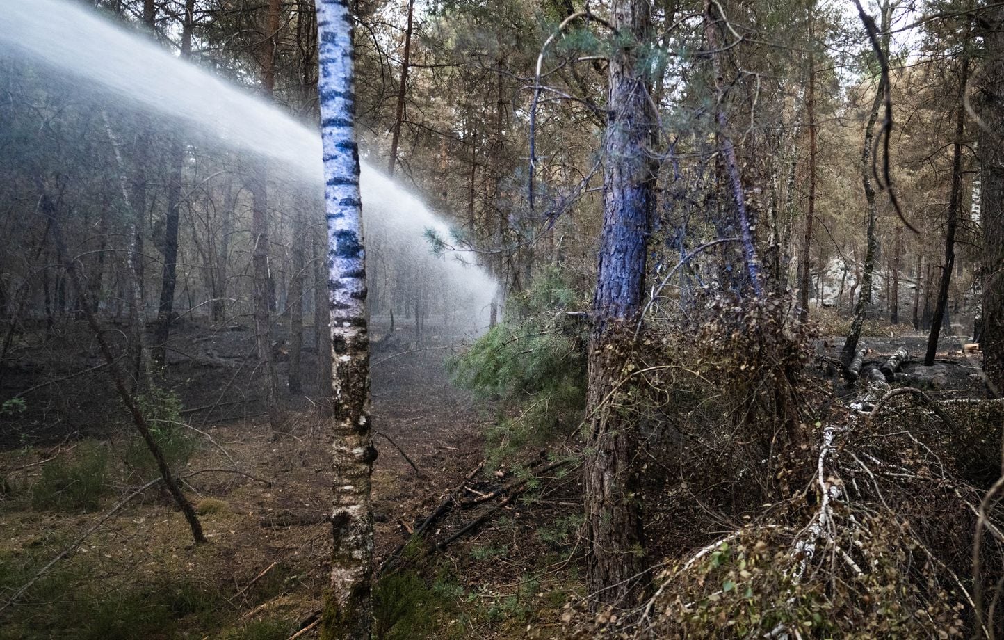Un incendie ravageur dans le Var nécessite l’évacuation de plusieurs dizaines d’habitations