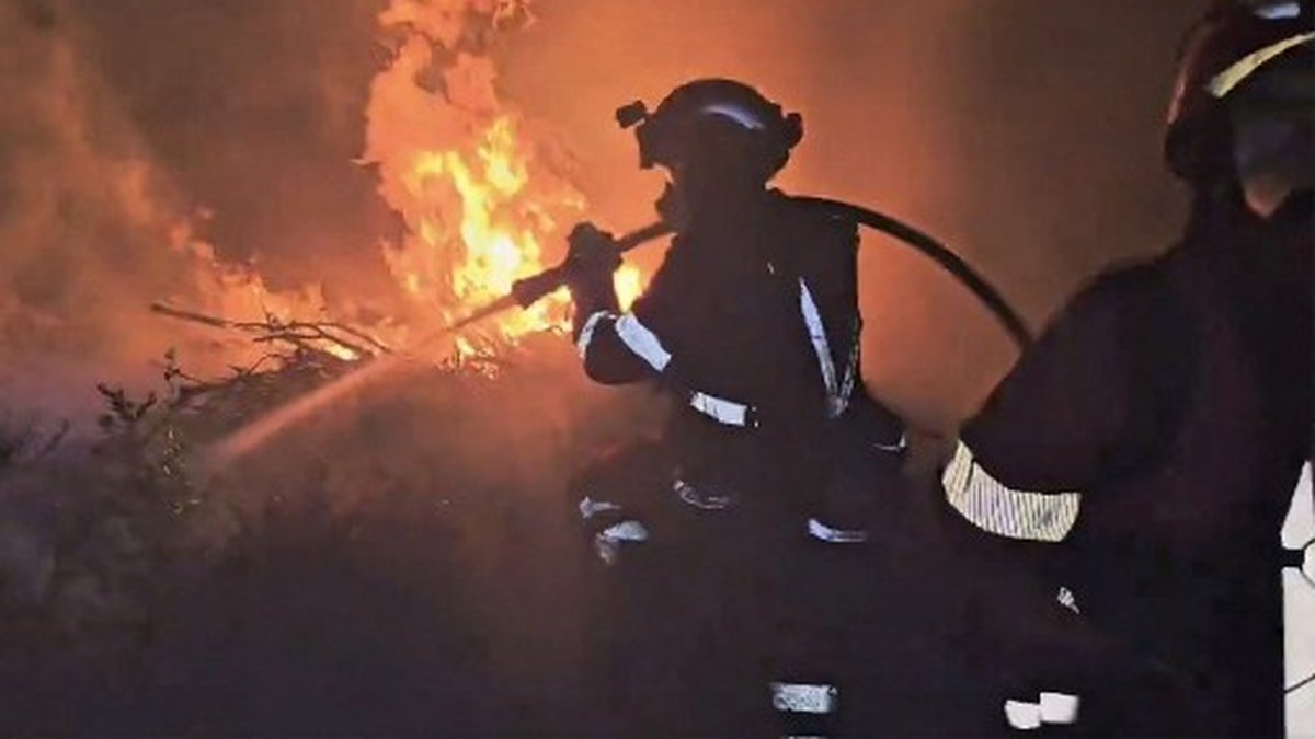 Un nouvel incendie ravage la région de Guadalajara en Espagne, 13 000 hectares de forêts détruites