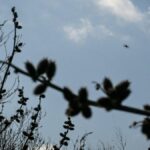 Un raid de drones ukrainiens cible la région de Moscou, des habitations endommagées