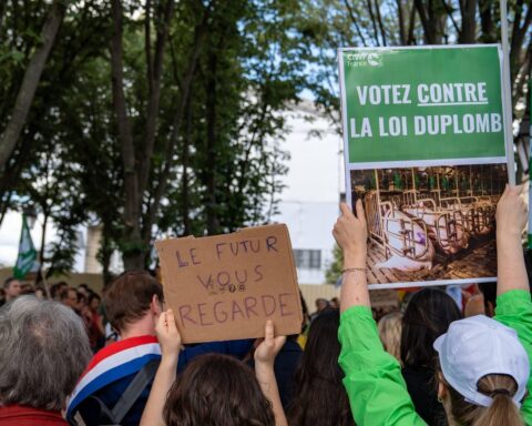 Une nouvelle pétition s'oppose à la réintroduction de pesticides interdits avant le vote de la loi agricole