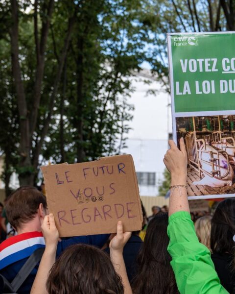 Une nouvelle pétition s'oppose à la réintroduction de pesticides interdits avant le vote de la loi agricole