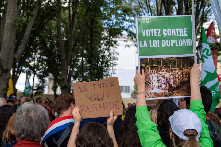 Une nouvelle pétition s'oppose à la réintroduction de pesticides interdits avant le vote de la loi agricole