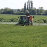 Urgent agricultural law : la santé publique compromise par la réintroduction de pesticides
