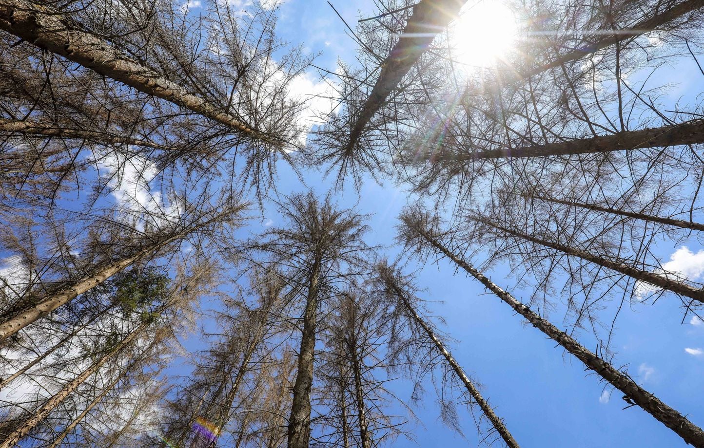 900 millions de personnes ont vécu le mois de juillet le plus chaud jamais enregistré en 2026