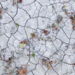 Canicule : baisse des températures prévue samedi sur l'ouest de la France, l'est reste chaud