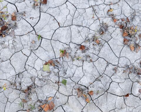 Canicule : baisse des températures prévue samedi sur l'ouest de la France, l'est reste chaud