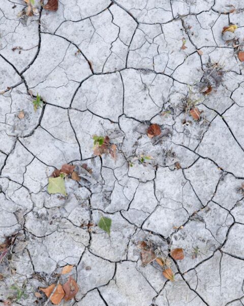 Canicule : baisse des températures prévue samedi sur l'ouest de la France, l'est reste chaud