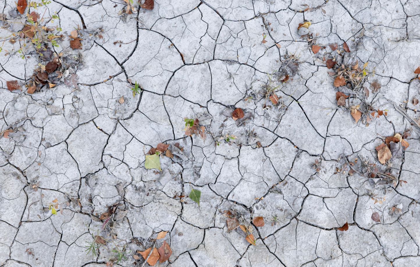 Canicule : baisse des températures prévue samedi sur l'ouest de la France, l'est reste chaud